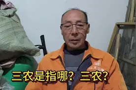 三农指的是哪三农你知道吗？视频封面