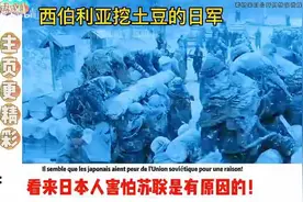 外网热议：西伯利亚挖土豆的日本人，作恶多端，终有报应视频封面