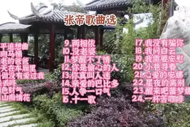 中国台湾老牌歌星张帝经典歌曲选视频封面
