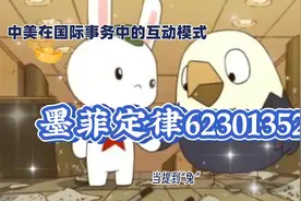 只剩两大玩家：揭秘兔鹰在全球舞台上的较量！视频封面
