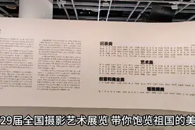 第29届中国摄影艺术展览视频封面