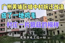 广州黄埔区城中村拆迁改造，成了一地鸡毛，是谁夺走了这一切？视频封面