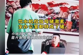 笑死！小伙饮水机投放母猪激素，全办公室都胖成了猪😂😂😂视频封面