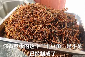 老板教你家庭晒制干豆角以及保存方法。快点来学做，冬天炖肉喷香视频封面