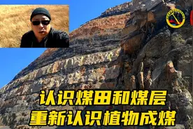 煤炭真的是植物形成的吗？不用疑问，这次用事实去反驳那些质疑！视频封面