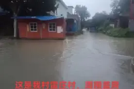 强行霸占雷庄村龙腾社区安置房，给雷庄村老百姓逼的无路可走。视频封面