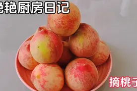 17000后，今天去摘胭脂桃啦！友友们认识这个品种的桃子吗？好甜视频封面