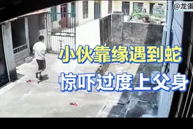 小伙去厨房喝水遇蛇，惊吓过度直接趴在父亲怀里。网友：哈哈哈视频封面