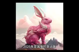 2025年是属兔的幸运年，属兔人会获得前所未有的好运。