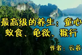 散文朗读《最 高 级的养 生：童心、蚁食、龟欲、猴行》果断收藏视频封面