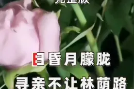 但凡要不了你命的，人生随时可重启。不要把心力消耗在破人破事上视频封面