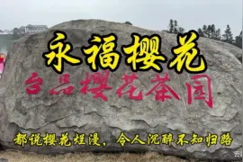 永福樱花园，樱花烂漫，沉醉不知归路视频封面
