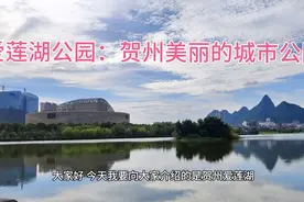 贺州（7）长寿城市有多美，看看爱莲湖公园你就知道了视频封面