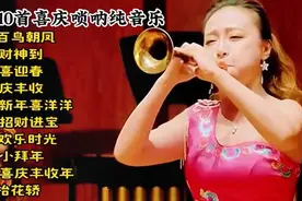 10首喜庆唢呐纯音乐，欢庆新春佳节！视频封面