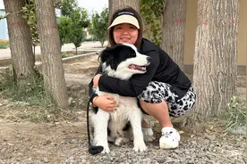 带收养的边牧回家了，它的表现让我很伤心，我不知道该怎么办了？视频封面