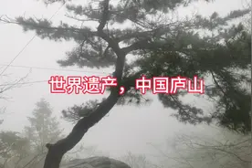 我心心念念的庐山，今天终于来了视频封面