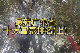 最新广东省十大富豪排名(上)视频封面