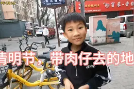 清明小长假，你们都是怎么过的呢！@诺语流阳视频封面