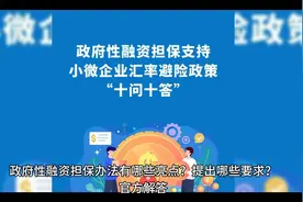 解锁小微企业融资新途径，政策详解十问十答视频封面