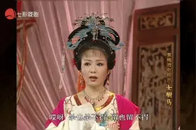 黄梅戏【女驸马】全本 韩再芬 李萍视频封面