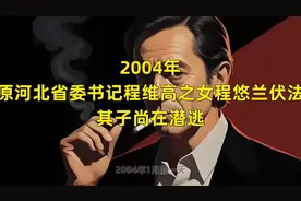 2004年，原河北省委书记程维高之女程悠兰伏法，其子尚在潜逃视频封面