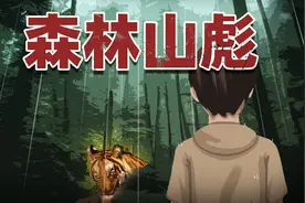 你们知道森林山彪吗？外型像老虎却不是老虎视频封面