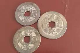 我的收藏