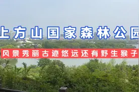 苏州上方山国家森林公园适合遛娃 风景秀丽 古迹悠远还有野生猴子视频封面