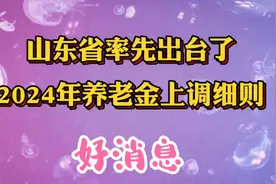 好消息！山东省率先出台了2024年养老金上调细则视频封面