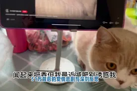 胖猫姐姐称女方2年索要51万视频封面
