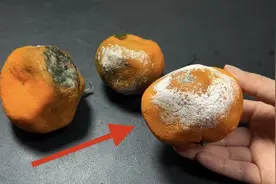 你家有没有烂掉的橘子？这个作用一年省上百元，要是早知道就好了视频封面