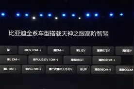 天神之眼背后的功臣，魔门塔怎么制霸中国智驾的？#比亚迪 #momen