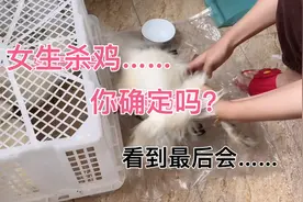 今日分享｜挑战女生杀鸡，你确定可以嘛？视频封面