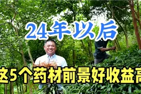 2024年以后前景好的5个药材，最高亩收入10万元，你想种吗视频封面