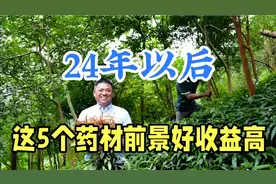 2024年以后前景好的5个药材，最高亩收入10万元，你想种吗视频封面