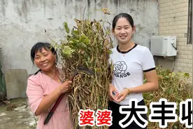 农村生活欢乐多，婆婆下地做农活，大姐在家做热乎饭菜，流口水了视频封面