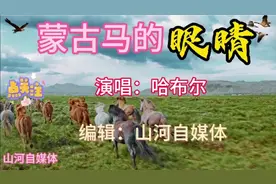 蒙古马的眼睛#里面装满了风景#盛满了草原人的真性情视频封面