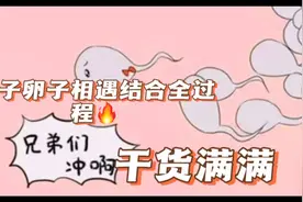 精子和卵子从相遇到结合的神奇过程，都经历了什么