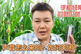 手机经常接到叮咚叮咚的声音，声音怎么来的？如何关闭？视频封面