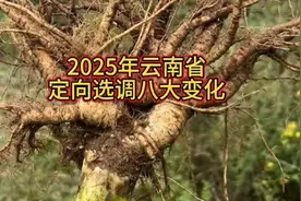 2025年云南省定向选调八大变化视频封面