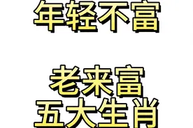 年轻不富老来富的五大生肖视频封面