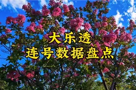 大乐透连号数据盘点视频封面