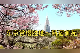 东京赏樱必打卡之地～新宿御苑，浪漫一整个春天。视频封面