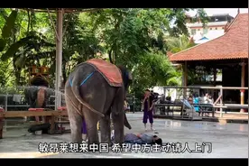 敏昂莱想来中国，希望中方主动请人上门，中国对缅甸风向有变?视频封面