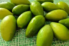 广东人真会养生“青橄榄”这样煲汤，汤水甘甜清爽，还好处多多视频封面