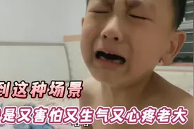 只听到一声巨响，就看到老大脚呼呼的流血，我是又生气又心疼老大视频封面
