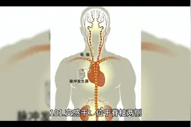 解剖学名词解释视频封面