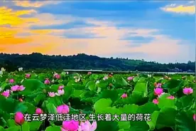 一个美丽富饶的地方云梦泽，现为湖北的代称。视频封面