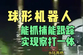 浙江大学打造RT一G球形机器人，外形独特灵活，能抓捕，能跟踪视频封面