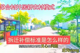 江苏合村并居新农村拆迁补偿标准是多少视频封面